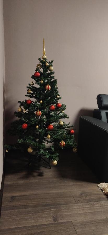 Home Apartament Брашов Экстерьер фото